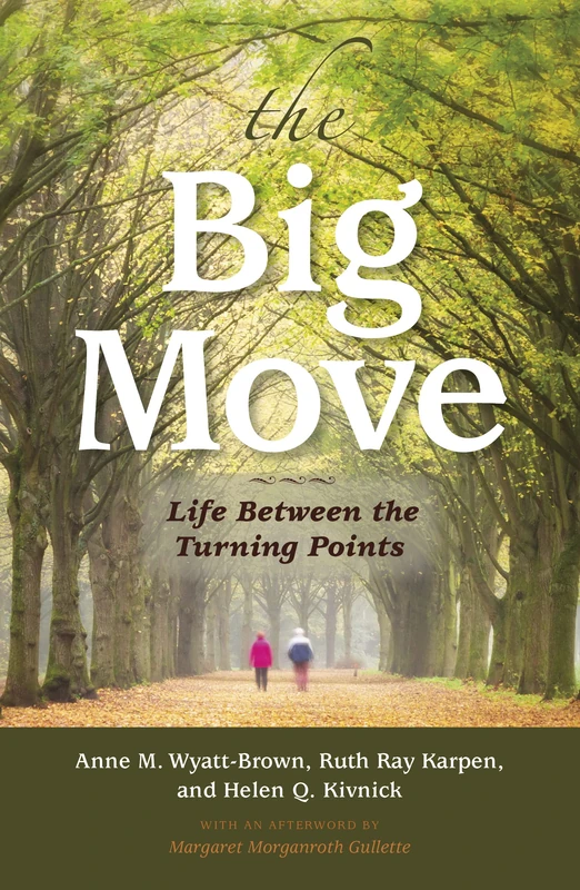 The Big Move: Life Between the Turning Points - Image 1