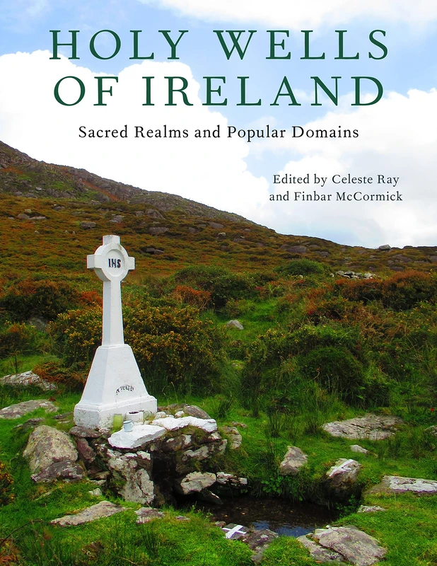 Holy Wells of Ireland: Sacred Realms and Popular Domains (Irish Culture, Memory, Place) - Image 1