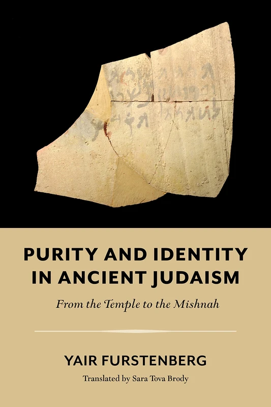 Purity and Identity in Ancient Judaism: From the Temple to the Mishnah (Olamot Series in Humanities and Social Sciences)