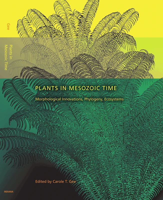 Plants in Mesozoic Time: Morphological Innovations, Phylogeny, Ecosystems (Life of the Past)