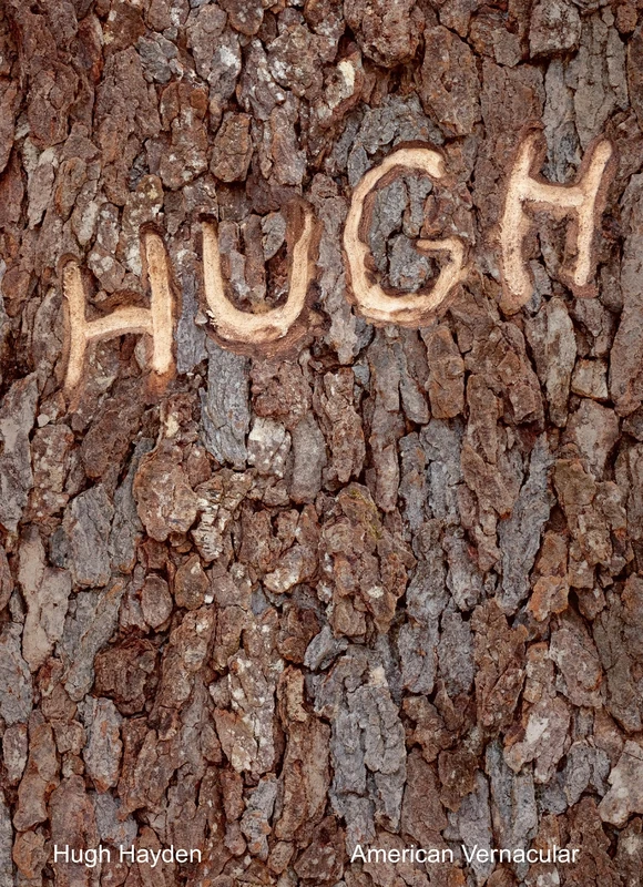 Hugh Hayden: American Vernacular - Image 1