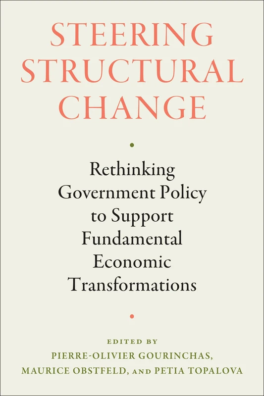 Steering Structural Change: Rethinking Government Policy to Support Fundamental Economic Transformations