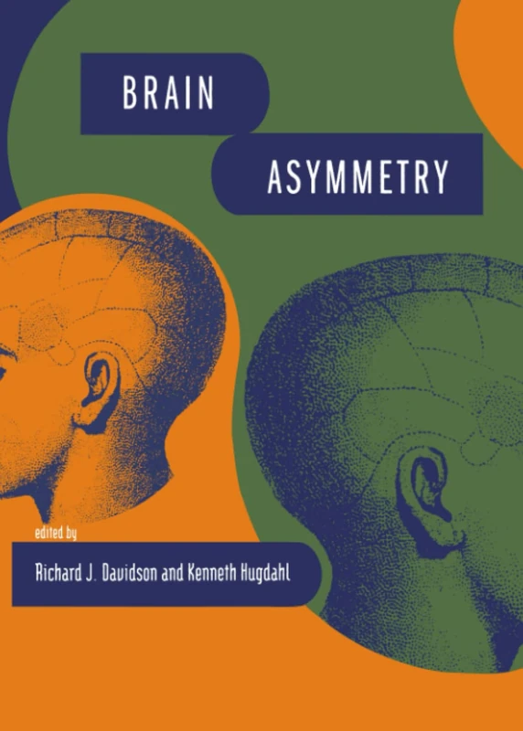 Brain Asymmetry