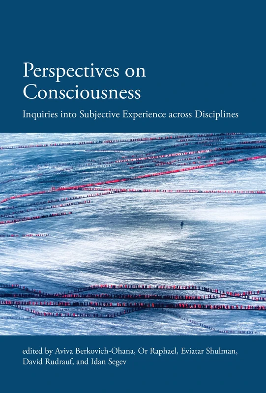 MIT Press Perspectives on Consciousness and Experience Book