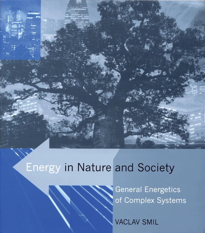 Energy in Nature and Society: General Energetics of Complex Systems - Image 1