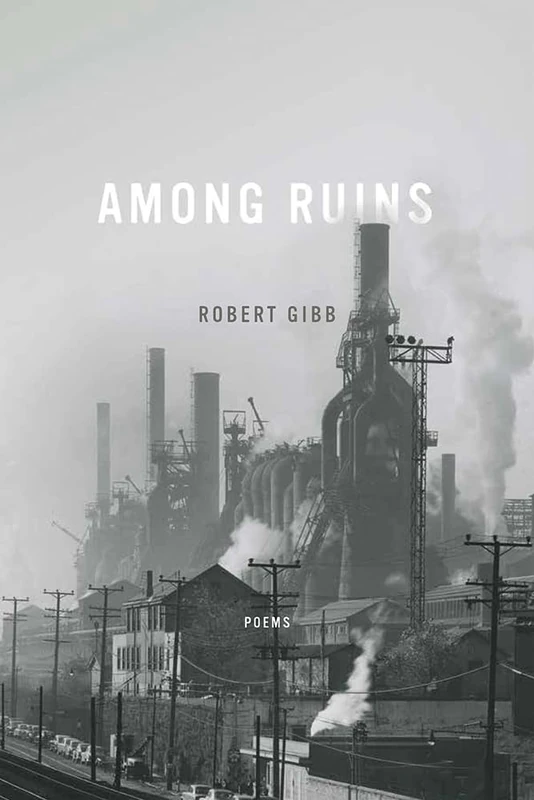 Among Ruins (Ernest Sandeen Prize in Poetry) - Image 1