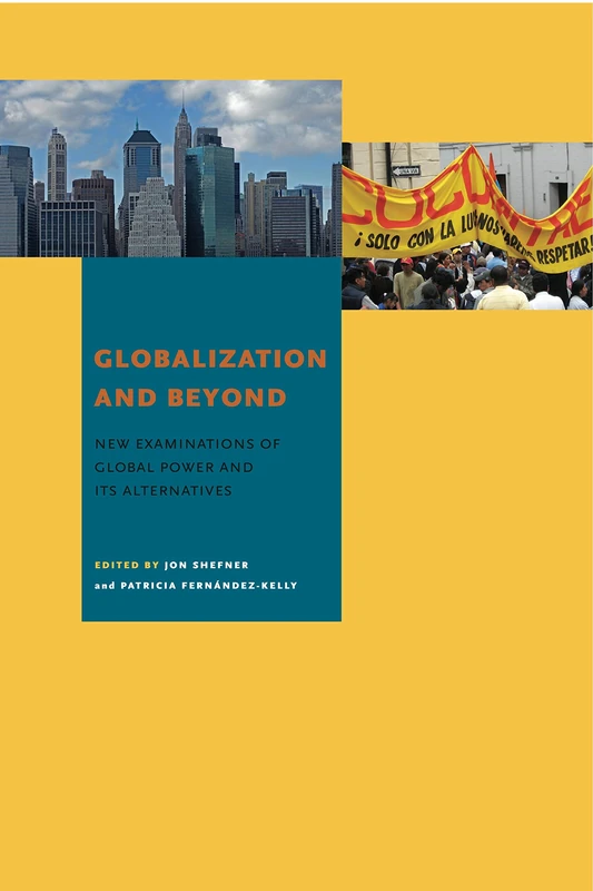 Globalization and Beyond: New Examinations of Global Power and Its Alternatives