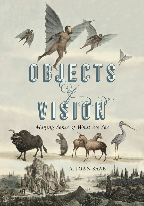 Objects of Vision: Making Sense of What We See (Perspectives on Sensory History): 3 - Image 1