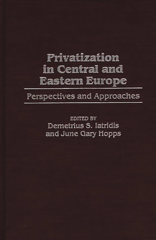 Privatization in Central and Eastern Europe: Perspectives and Approaches (Post-Communist Cultural Studies (Hardcover))