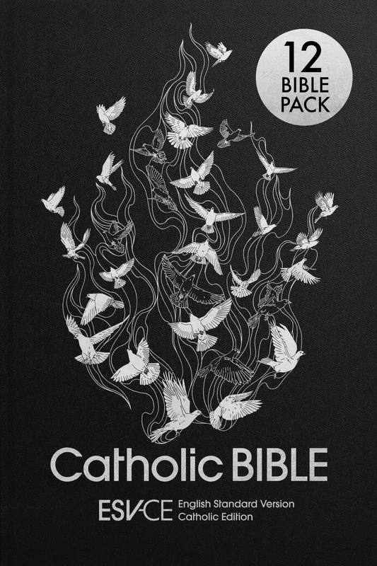 ESV-CE Catholic Bible. The Official Liturgical Bible for England, Wales and Scotland from Advent 24 - 12 PACK: Anglicized Hardback Edition, English Standard Version – Catholic Edition