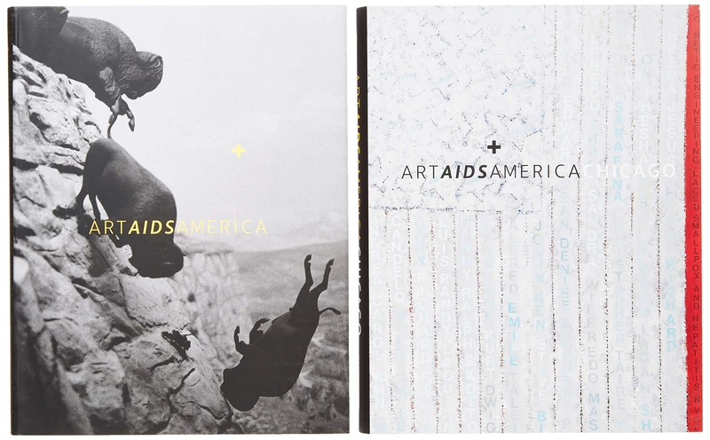 Art AIDS America / Art AIDS America Chicago Boxed Set