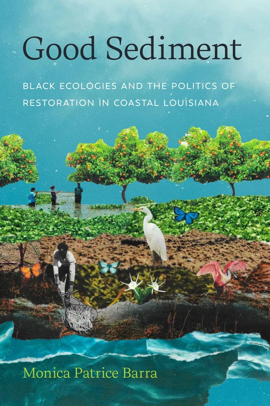 Good Sediment: Black Ecologies and the Politics of Restoration in Coastal Louisiana