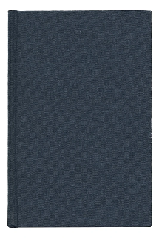The Limits of the Rule of Law in China: 14 (Asian Law Series)