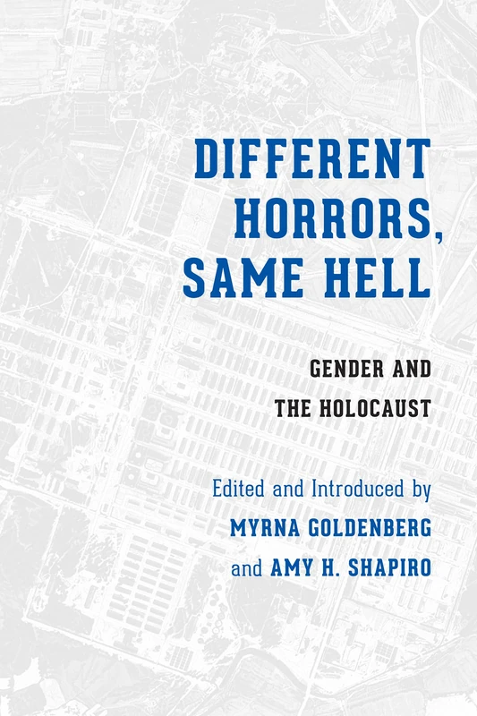 Different Horrors, Same Hell: Gender and the Holocaust (Stephen S. Weinstein Series in Post-Holocaust Studies) - Image 1