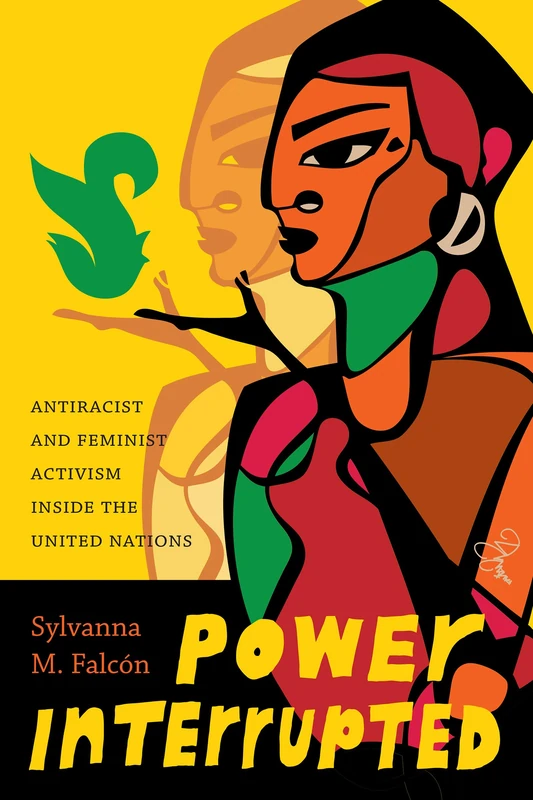 Power Interrupted: Antiracist and Feminist Activism inside the United Nations (Decolonizing Feminisms)