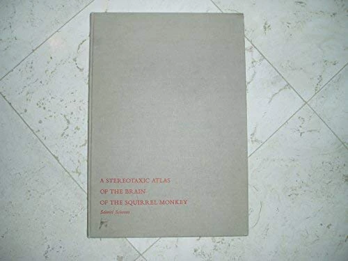 Brain Of Squirrel Monkey (C)