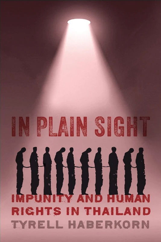 In Plain Sight: Impunity and Human Rights in Thailand (New Perspectives in Southeast Asian Studies)