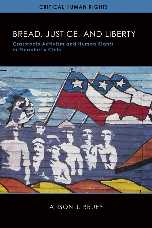 Bread, Justice, and Liberty: Grassroots Activism and Human Rights in Pinochet's Chile (Critical Human Rights) - Image 1