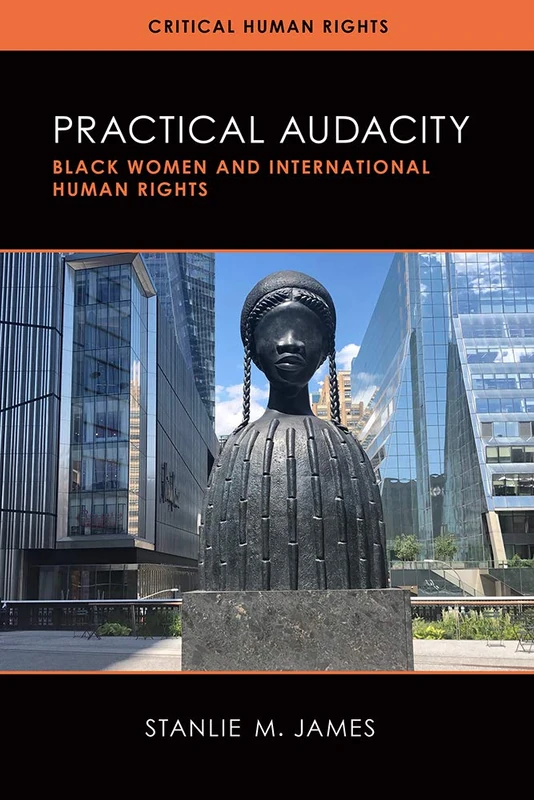 Practical Audacity: Black Women and International Human Rights (Critical Human Rights)