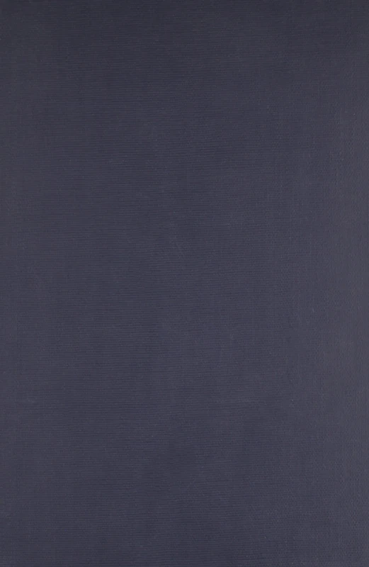 Correspondence: v.36: Vol 36 (Yale Edition of Horace Walpole's Correspondence): With the Walpole Family