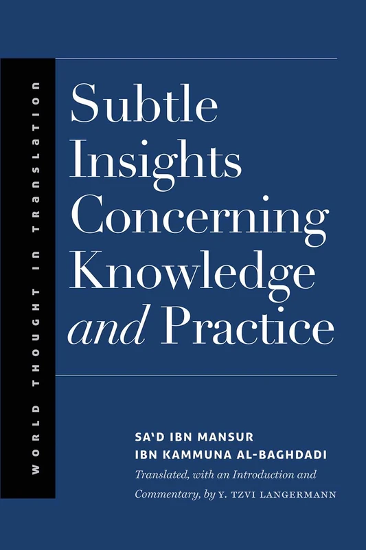 Subtle Insights Concerning Knowledge and Practice (World Thought in Translation) - Image 1