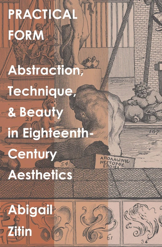 Practical Form: Abstraction, Technique, and Beauty in Eighteenth-Century Aesthetics (The Lewis Walpole Series in Eighteenth-Century Culture and History) - Image 1