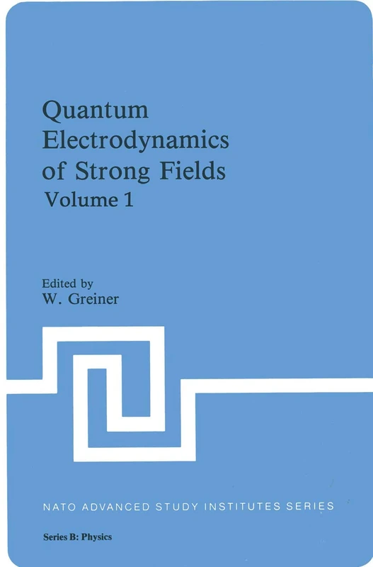 Quantum Electrodynamics of Strong Fields: 80 (NATO Science Series B:, 80)