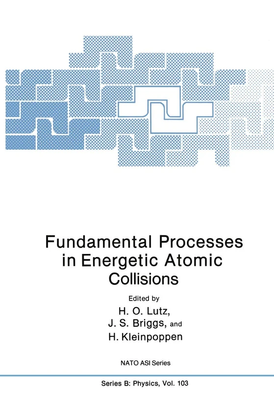 Fundamental Processes in Energetic Atomic Collisions: 103 (Polymer Science and Technology)