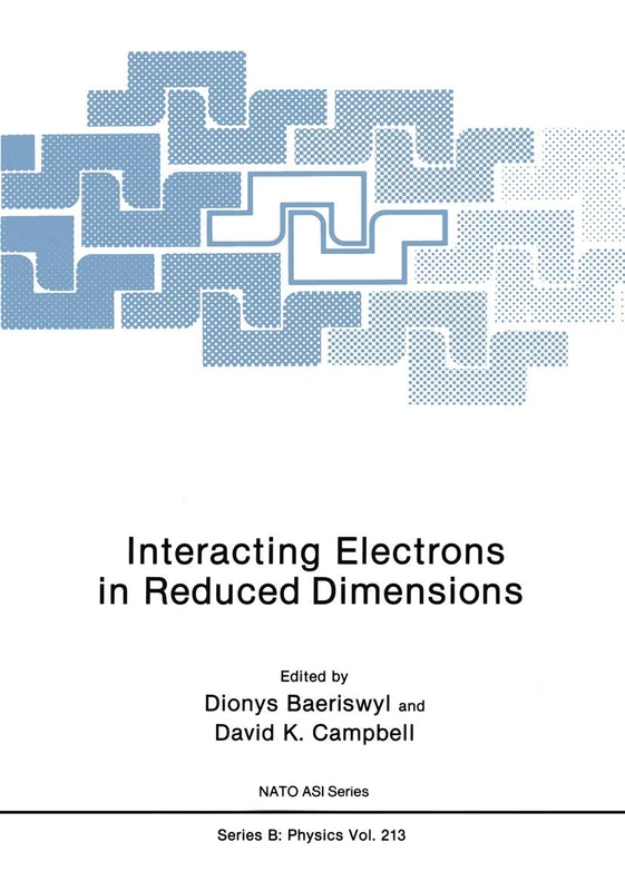 Interacting Electrons in Reduced Dimensions: 213 (NATO Science Series B:, 213)