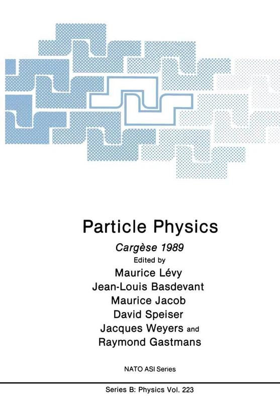 Particle Physics: Cargèse 1989: 223 (NATO Science Series B:, 223)