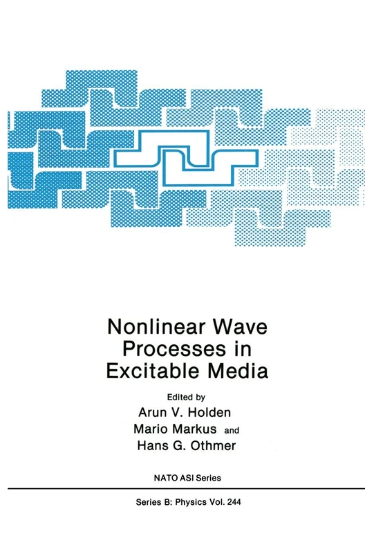 Nonlinear Wave Processes in Excitable Media: 244 (NATO Science Series B:, 244)