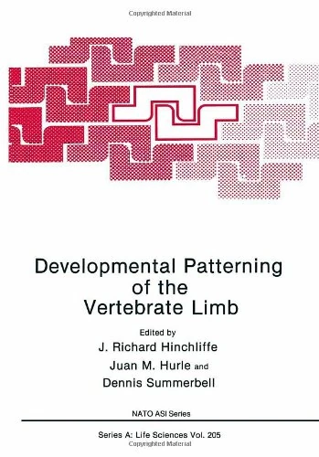 Developmental Patterning of the Vertebrate Limb: Workshop Proceedings: 205 (NATO Science Series A: Life Sciences)