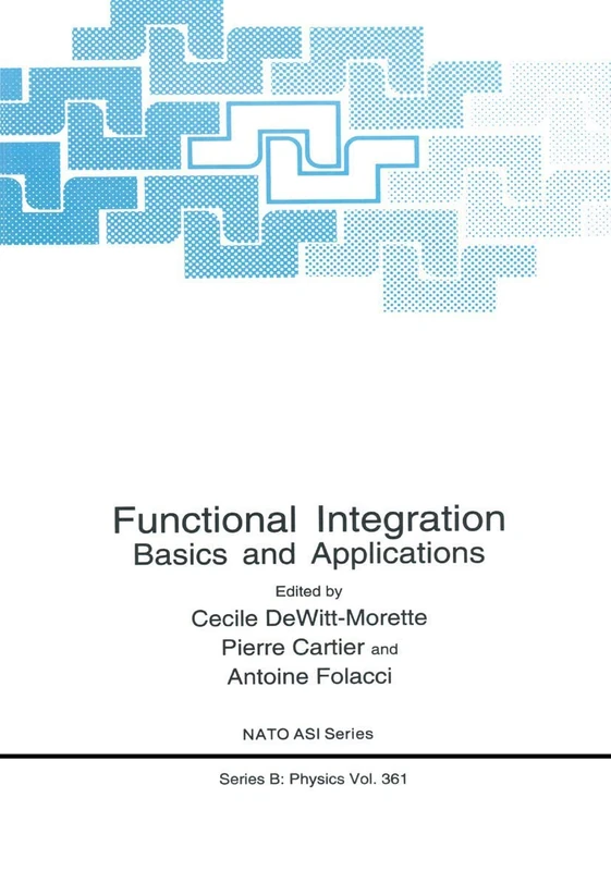 Functional Integration: Basics and Applications: 361 (NATO Science Series B:, 361)