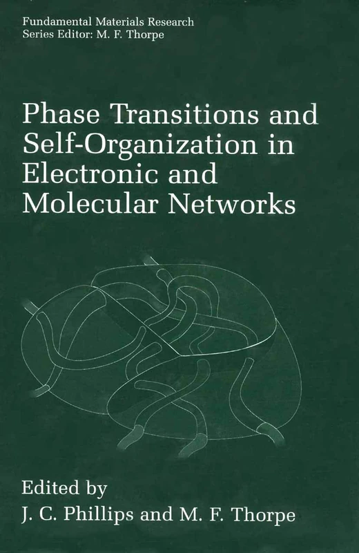Springer - Phase Transitions and Self-Organization Book