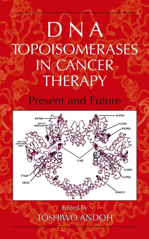 DNA Topoisomerases in Cancer Therapy: Present and Future