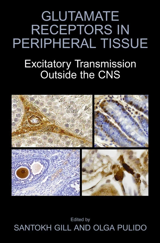 Glutamate Receptors in Peripheral Tissue: Excitatory Transmission Outside the CNS (Endocrine Updates S)