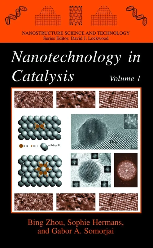 Nanotechnology in Catalysis (Nanostructure Science and Technology)