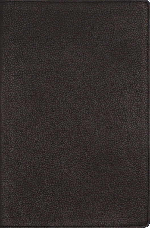 NRSVue, Single-Column Reference Bible, Genuine Calfskin Leather, Black, Art Gilded Edges, Comfort Print - Image 1