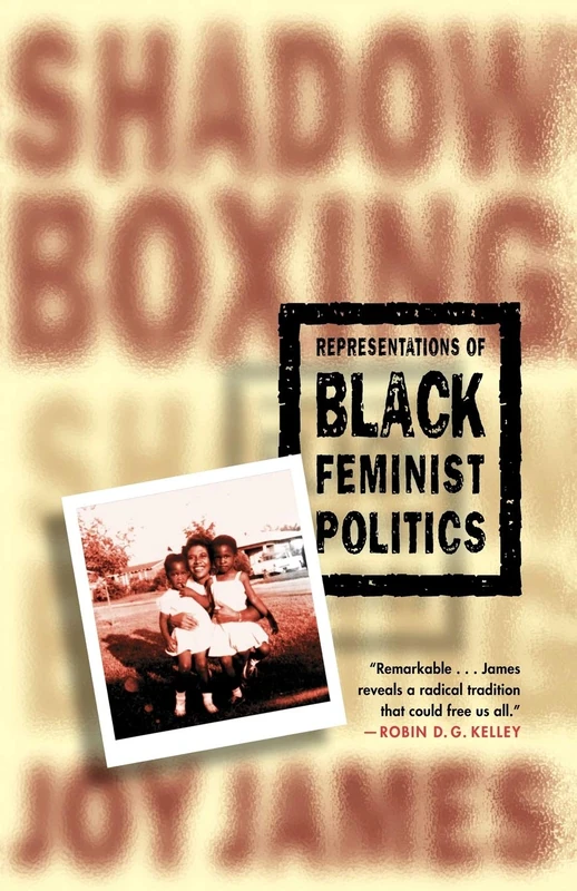 Shadow Boxing: Black Feminist Politics