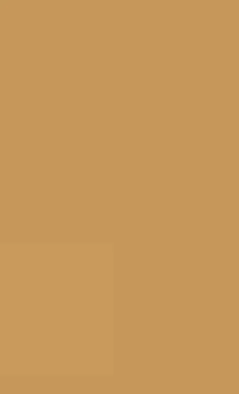 The Meaning of Heidegger: A Critical Study of an Existentialist Phenomenology