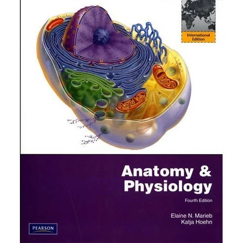 Anatomy & Physiology: International Edition