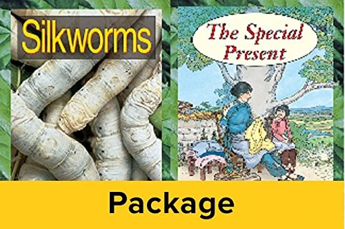 Silkworms: The Special Present (Foundations)