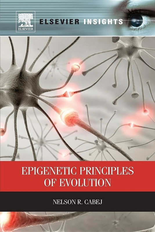 Epigenetic Principles of Evolution