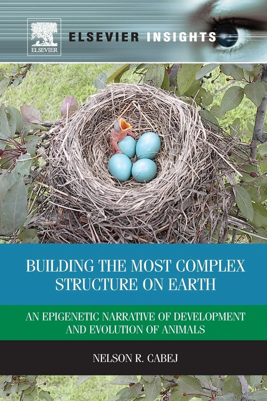 Building the Most Complex Structure on Earth: An Epigenetic Narrative of Development and Evolution of Animals