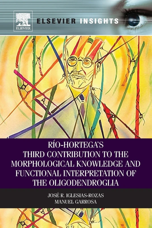 Rio-Hortega's Third Contribution to the Morphological Knowledge and Functional Interpretation of the Oligodendroglia - Image 1