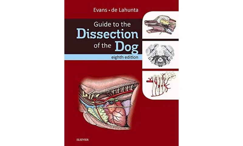 Guide to the Dissection of the Dog - Image 1