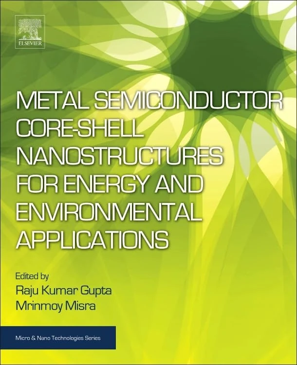 Metal Semiconductor Core-shell Nanostructures for Energy and Environmental Applications (Micro and Nano Technologies)