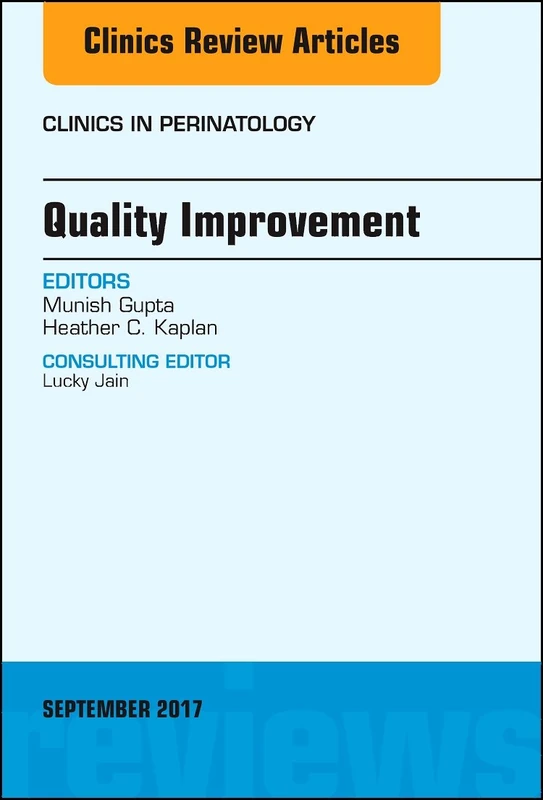 Quality Improvement, An Issue of Clinics in Perinatology (Volume 44-3) (The Clinics: Internal Medicine, Volume 44-3)