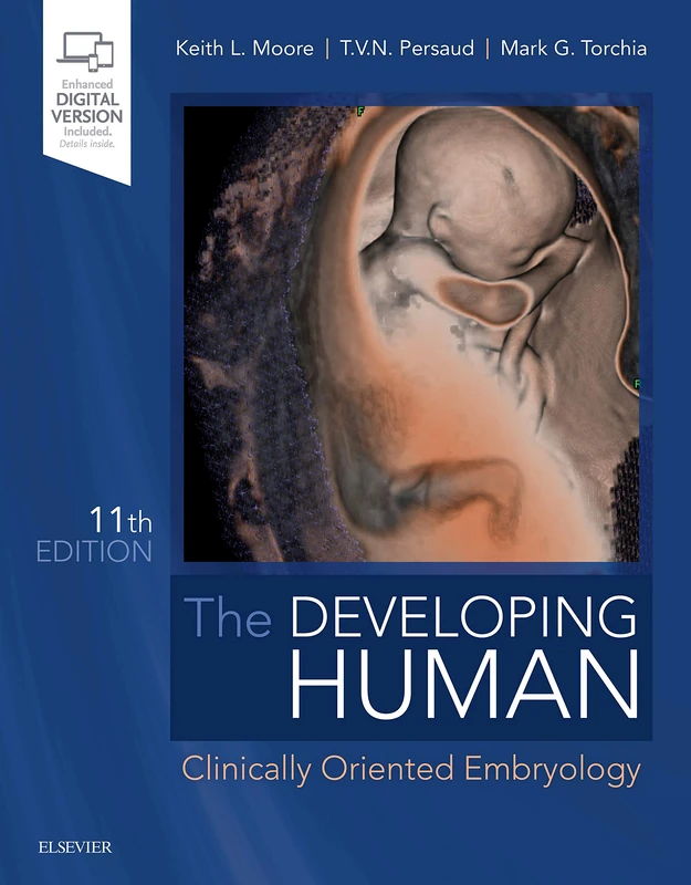 The Developing Human: Clinically Oriented Embryology - Image 1