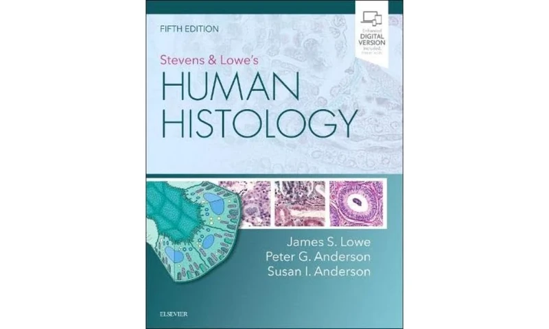 Stevens & Lowe's Human Histology